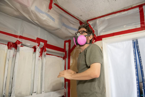 Best Mold Removal for HVAC Installations  in Pinewood, FL